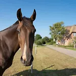 Haus Inselurlaub Hausteil 1 * Oevenum