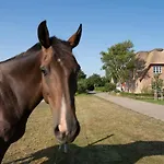 Haus Inselurlaub Hausteil 1 Oevenum
