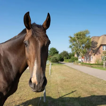 Haus Inselurlaub Hausteil 1 * Oevenum