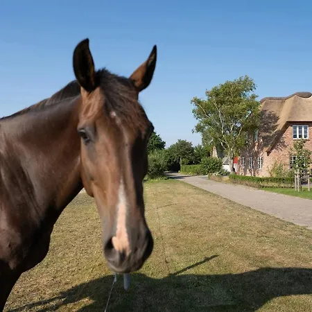 Haus Inselurlaub Hausteil 1 Oevenum