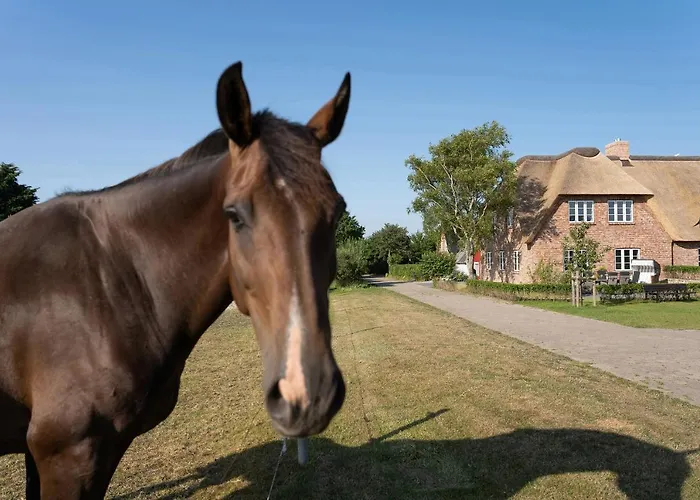 Haus Inselurlaub Hausteil 1 Oevenum